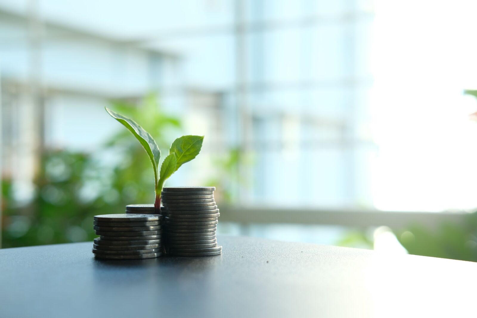 an image of coins and a small plant